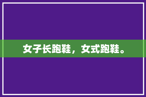 女子长跑鞋，女式跑鞋。 女子长跑鞋，女式跑鞋。 品牌鞋