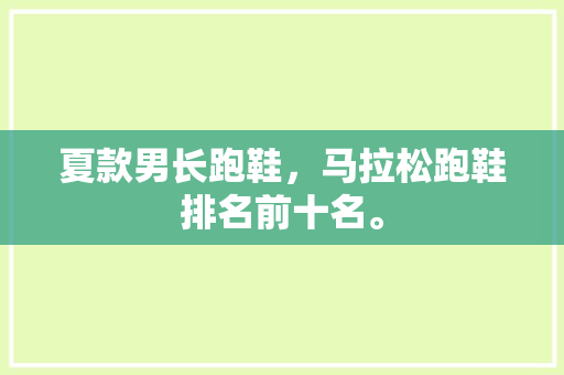 夏款男长跑鞋，马拉松跑鞋排名前十名。