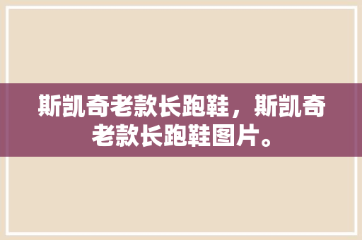 斯凯奇老款长跑鞋，斯凯奇老款长跑鞋图片。