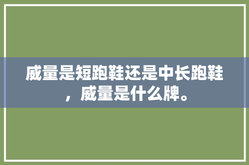 威量是短跑鞋还是中长跑鞋，威量是什么牌。 威量是短跑鞋还是中长跑鞋，威量是什么牌。 鞋厂大全
