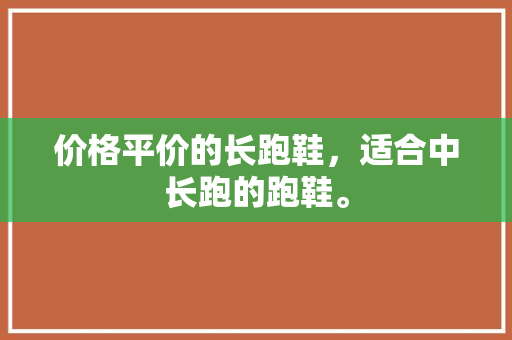 价格平价的长跑鞋，适合中长跑的跑鞋。 价格平价的长跑鞋，适合中长跑的跑鞋。 大匠心设计