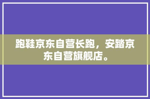 跑鞋京东自营长跑，安踏京东自营旗舰店。