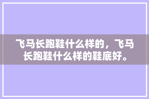 飞马长跑鞋什么样的，飞马长跑鞋什么样的鞋底好。