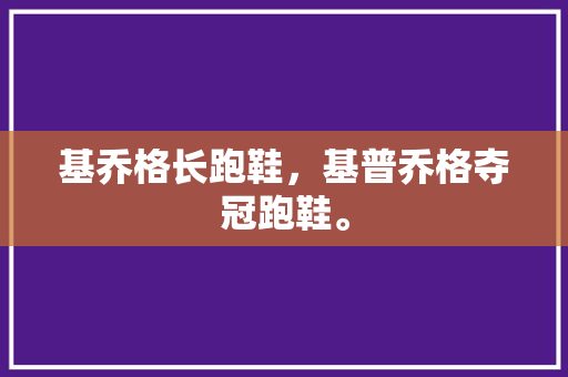 基乔格长跑鞋，基普乔格夺冠跑鞋。