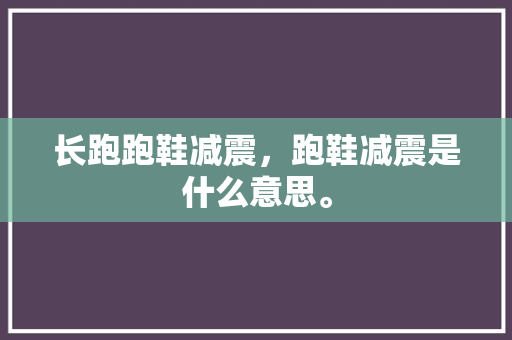 长跑跑鞋减震，跑鞋减震是什么意思。 长跑跑鞋减震，跑鞋减震是什么意思。 品牌鞋