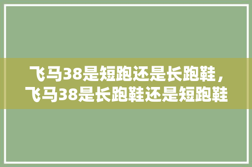飞马38是短跑还是长跑鞋，飞马38是长跑鞋还是短跑鞋。