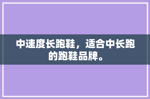 中速度长跑鞋，适合中长跑的跑鞋品牌。
