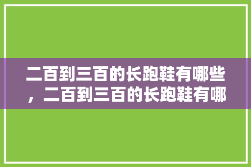 二百到三百的长跑鞋有哪些，二百到三百的长跑鞋有哪些牌子。