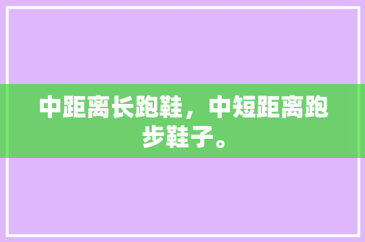 中距离长跑鞋，中短距离跑步鞋子。