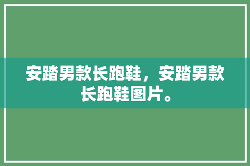 安踏男款长跑鞋，安踏男款长跑鞋图片。