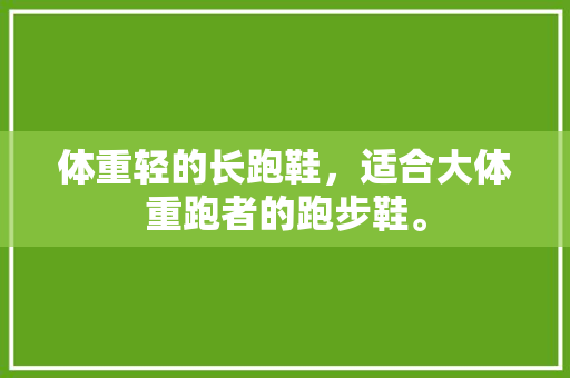 体重轻的长跑鞋，适合大体重跑者的跑步鞋。