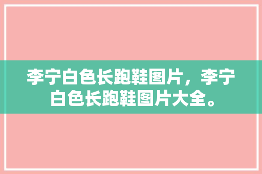 李宁白色长跑鞋图片，李宁白色长跑鞋图片大全。