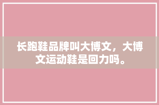 长跑鞋品牌叫大博文，大博文运动鞋是回力吗。