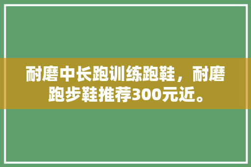 耐磨中长跑训练跑鞋，耐磨跑步鞋推荐300元近。